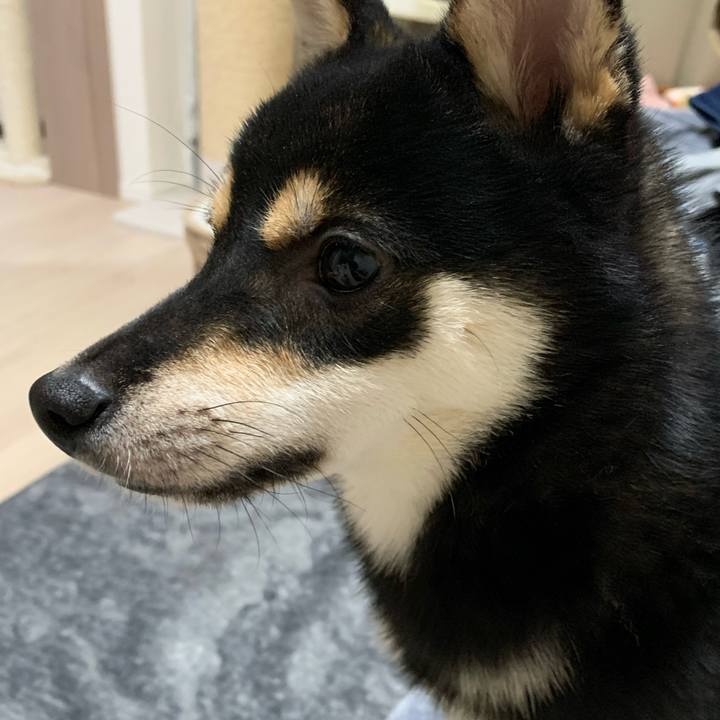 Bb925648 db4d 46a3 9bd5 e5509503acde 1574674522426