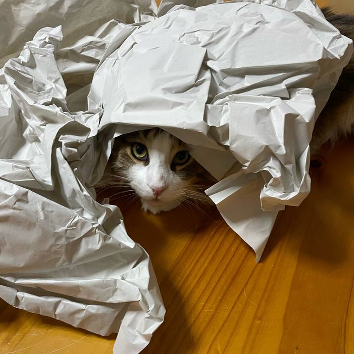 Bb92861d 5a07 4940 8882 1ed41f99199b 1671622816315