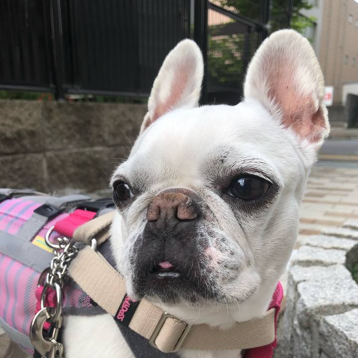 Bb928d94 543d 4c4d bd5e f5b2bea3bb06 1682423119185