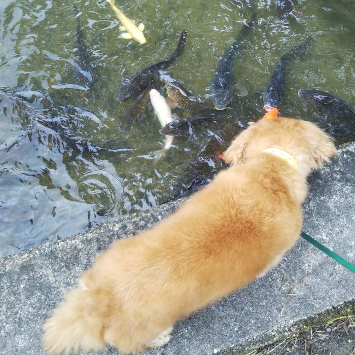 Bb92b29a 6239 43ab 8864 17003af168b8 1602461634171