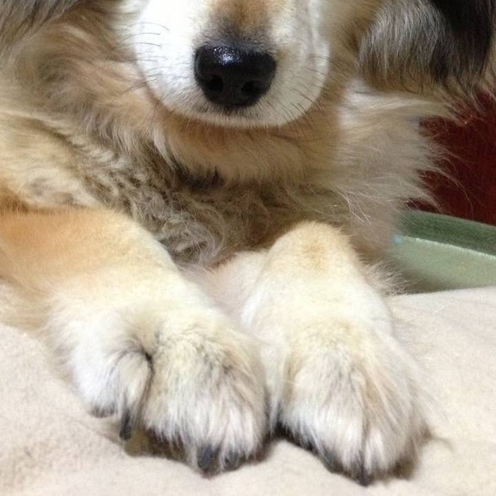 Bb92ce59 1986 43ff af8b 82540be6203c 1609034899779