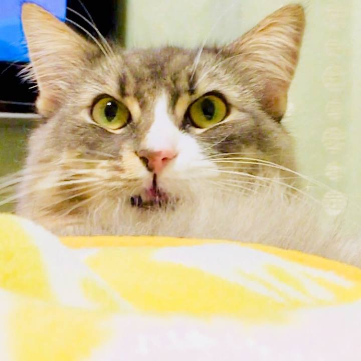 Bb92da8c a1a1 4ad8 8207 d5c964b105a9 1512581714634