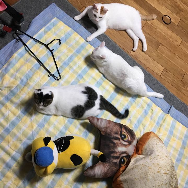 Bb9307a9 9125 4ae1 ba1d e9b515ed9801 1532443203742