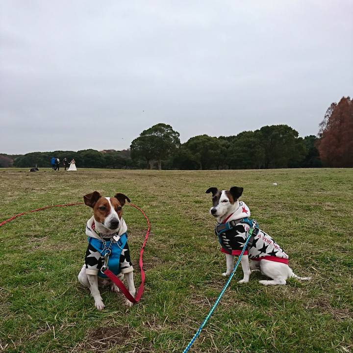 Bb936d82 c4f7 4cf2 8040 2b95d703cd60 1576052599375