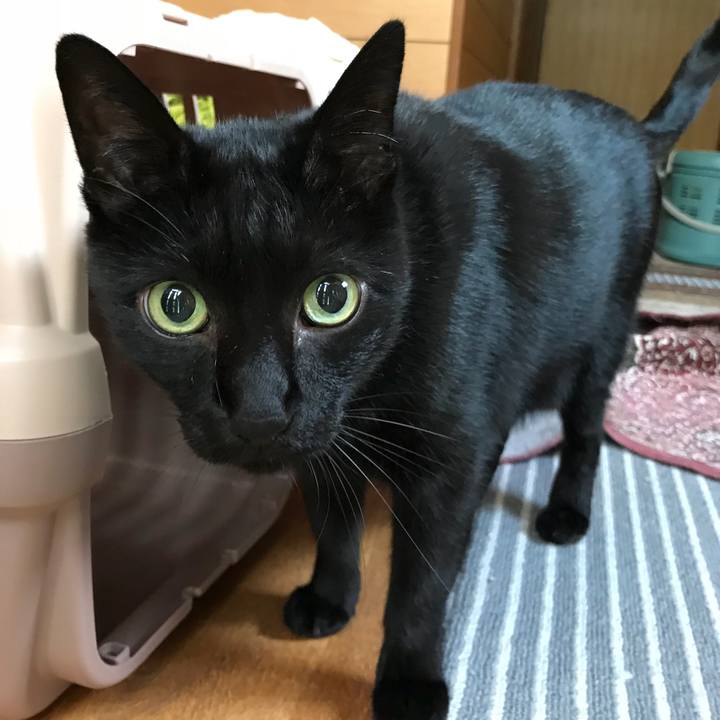 Bb93957b 79b2 443c 956d d445405d7c95 1508895686123