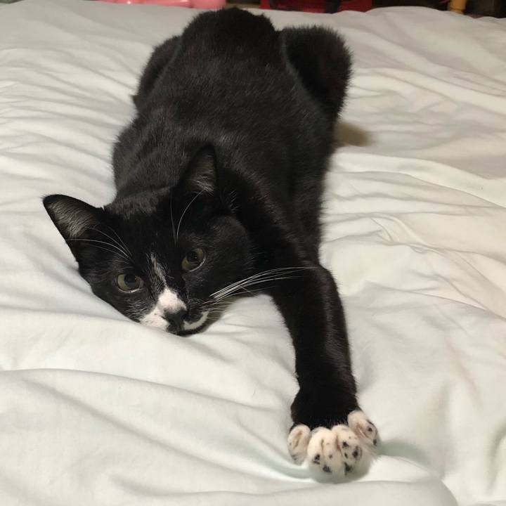 Bb939cd4 7d06 4980 8d9e c27dc2290e0a 1603338497260