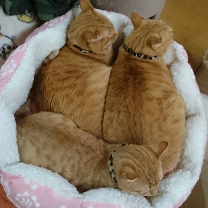 Bb939e5a f1e0 4f90 9220 ce1a0a38608a 1580294368371