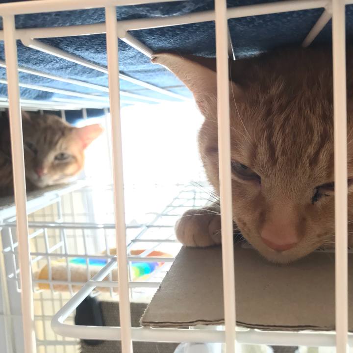 Bb93a3eb d593 4fc3 a76b f66735ca1c92 1585971516672