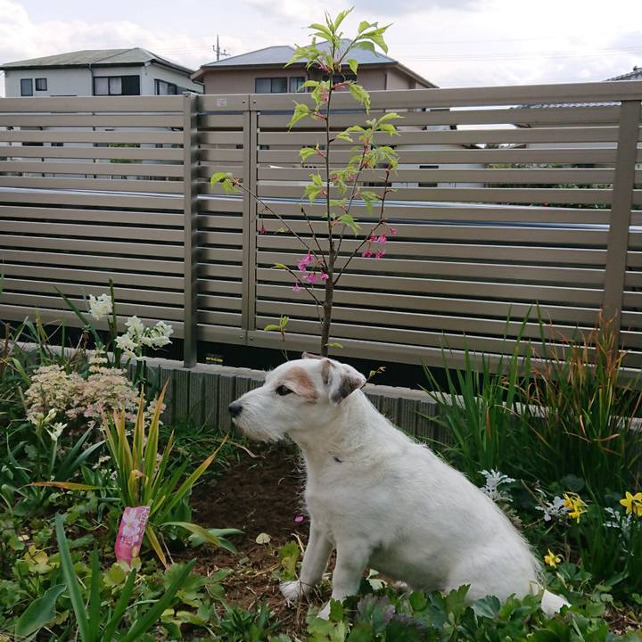 Bb93ae46 5f4a 47a9 a92a e42430e1095f 1552864613767