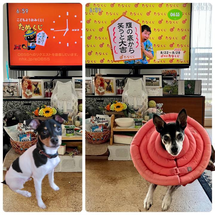 Bb93cbf9 685c 494e 9686 4f5a8bccc05a 1661121388046