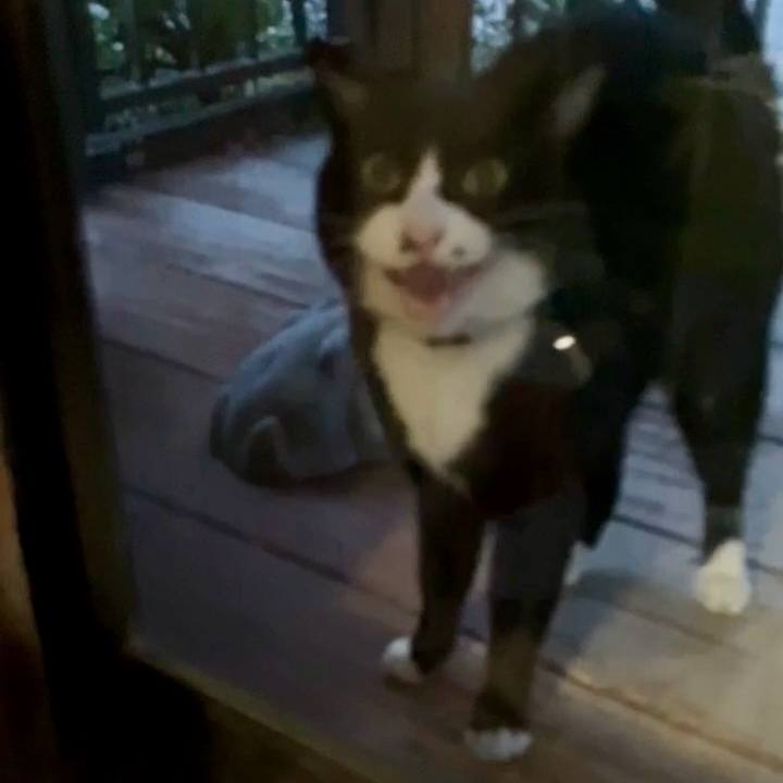 Bb93ccb9 bf61 42c0 8862 c3892ae452db 1736077185943