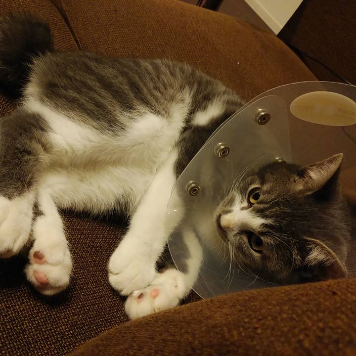 Bb940821 7692 400e b0ce c8b214b1ae6e 1571239851286