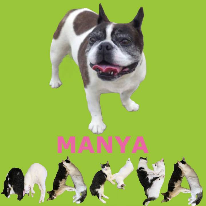 Bb940d91 0b93 49ff aab1 23467452bddc 1667537637738