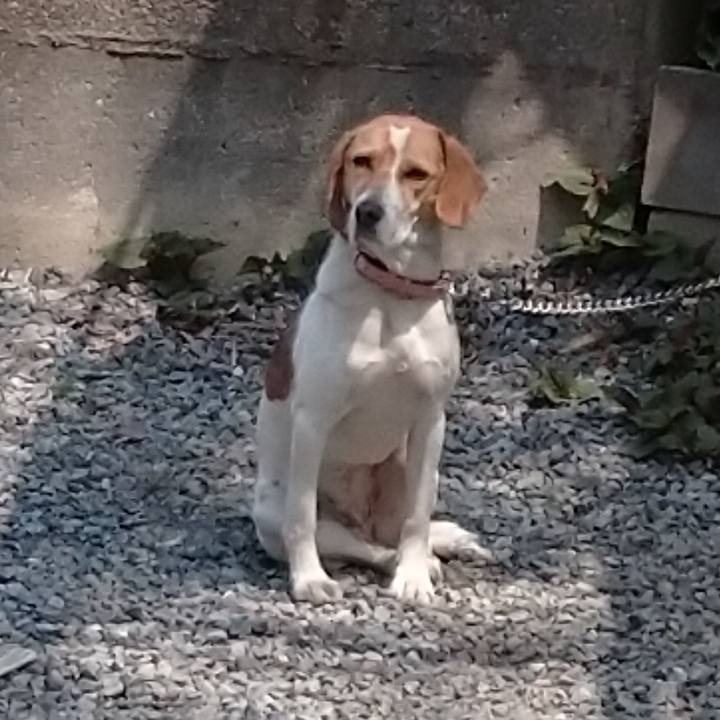 Bb94567f 3811 4a10 898d 68854b196681 1586318758341