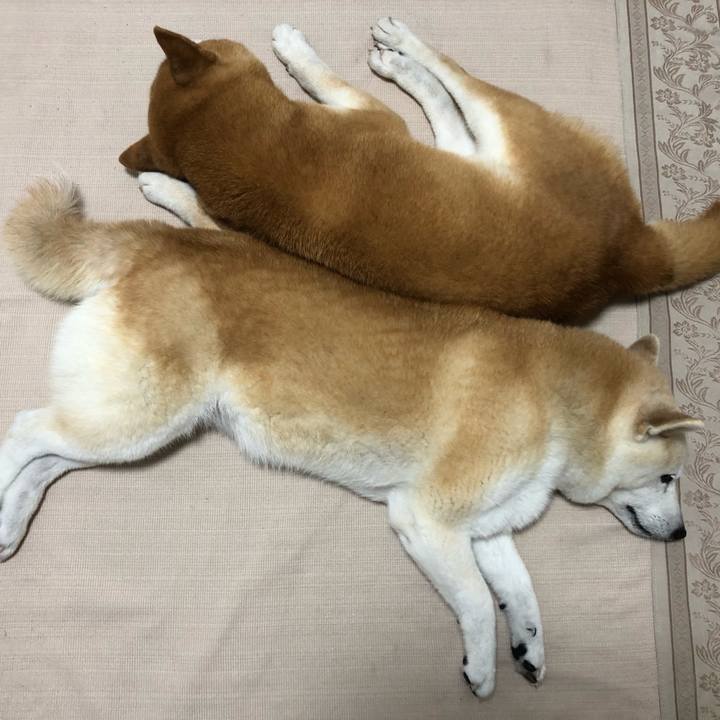 Bb945f71 7ac9 4150 a996 aa87f1ea5968 1566859234412