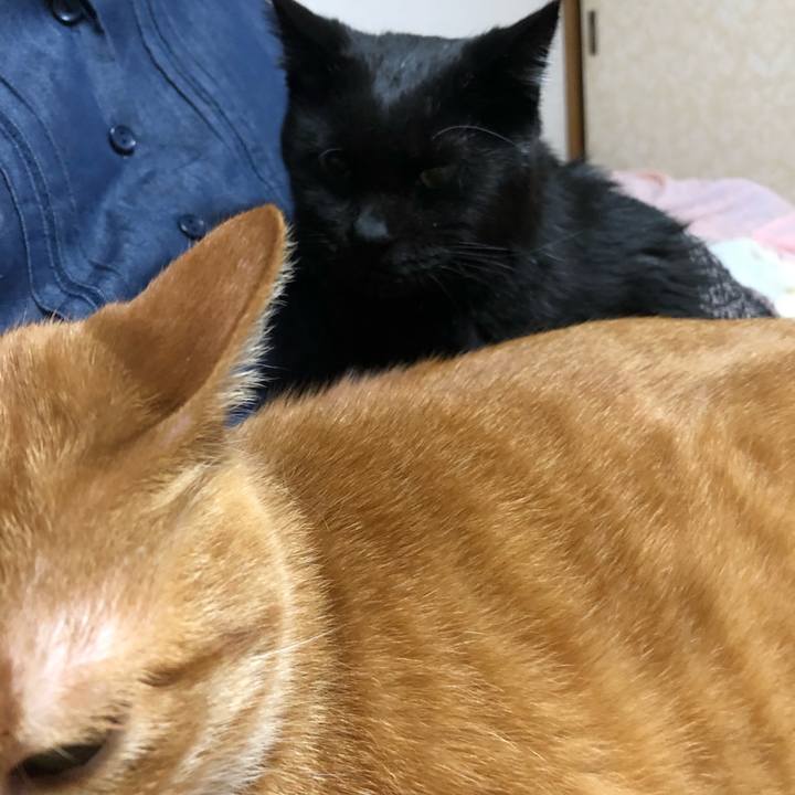 Bb946eb6 72b2 493d b00a e2ea38436c89 1638799828120