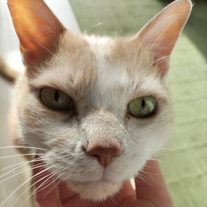 Bb95421b 3ff4 4a5d a93d d44c108d85e0 1652135413060