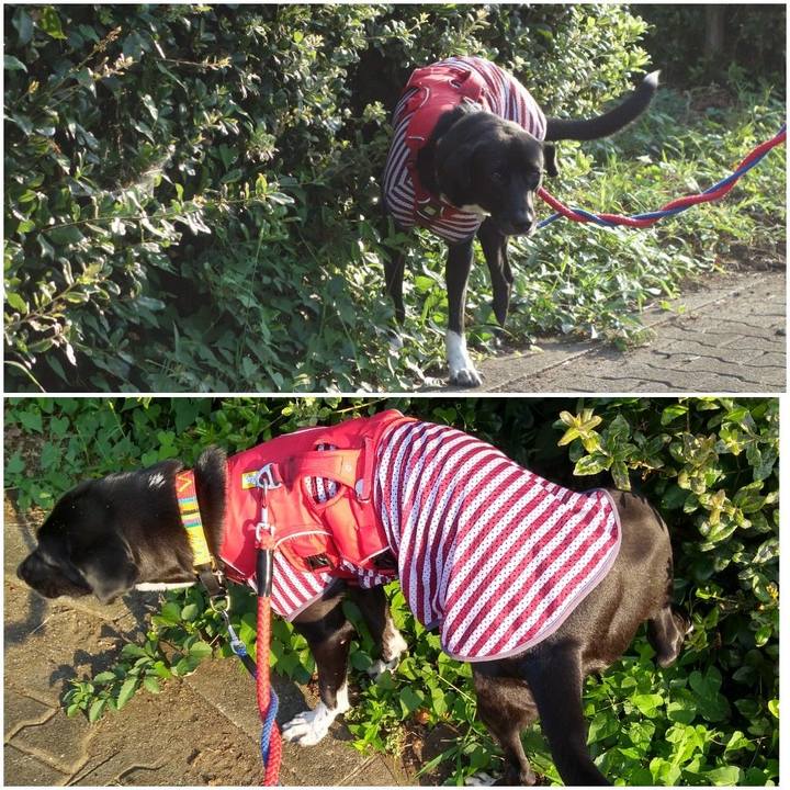 Bb959988 0622 4f10 8d9b 426c1b00814a 1598400817709