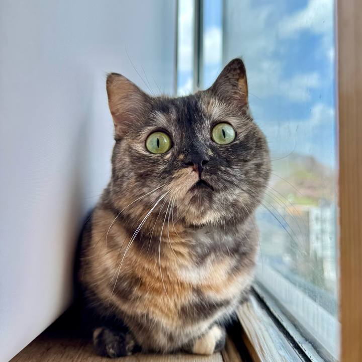 Bb95d67e 4016 4c30 b3de 55979dbc4d72 1776775205137