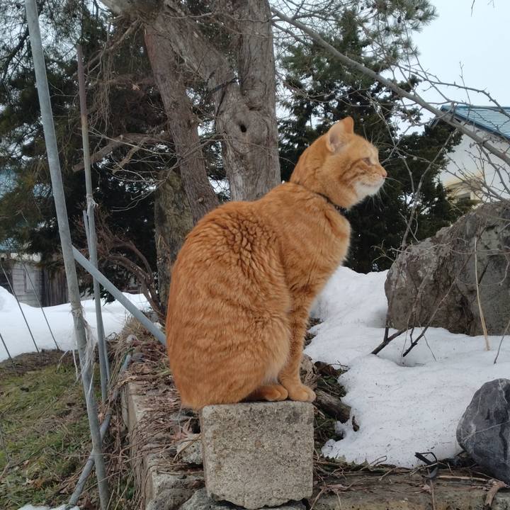 Bb95eba0 05a1 4049 9330 277e3841ce28 1676705193642