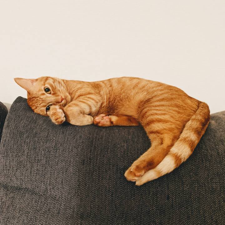 Bb9618fd 7eef 4078 8622 95186dc94799 1624780787176