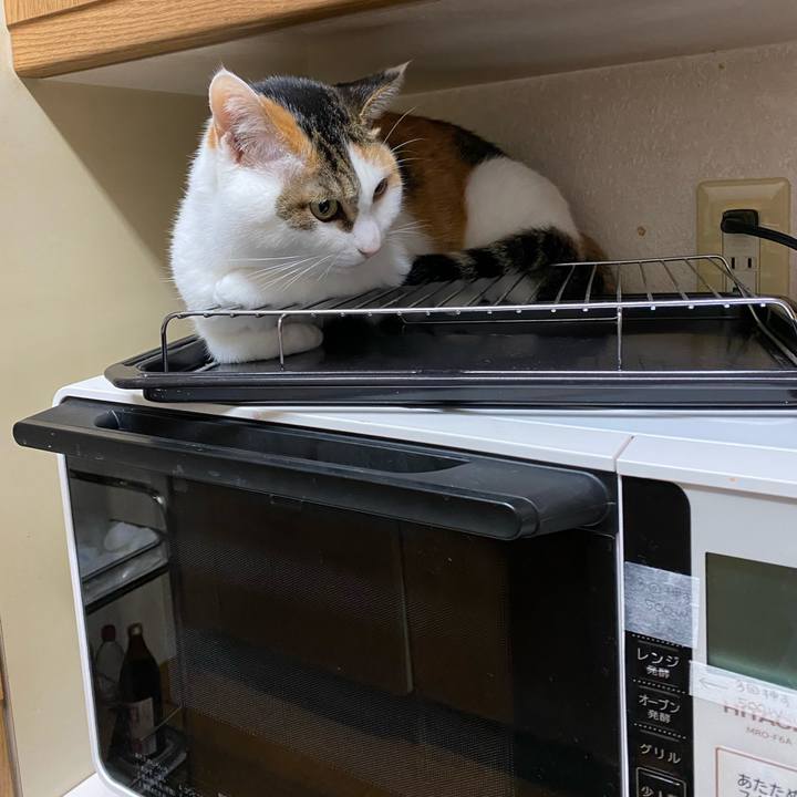 Bb961b78 e367 46cc bc1c 3284b8d33a08 1768401416132