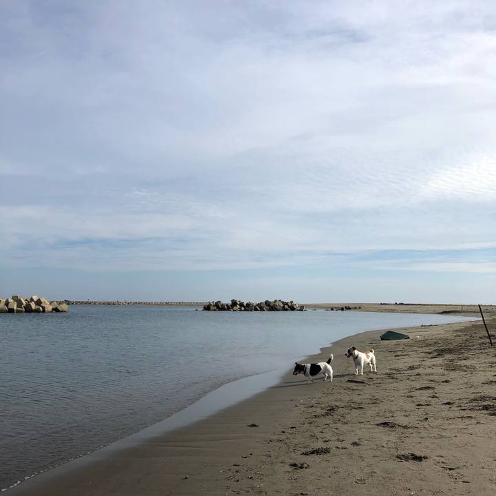 Bb9621a6 7ec8 4041 9776 43f7a67482c9 1534721952358