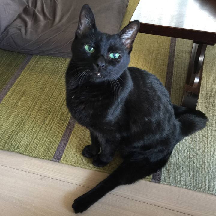 Bb9628e3 a117 41a5 9af9 379bf0a958b9 1512791943596