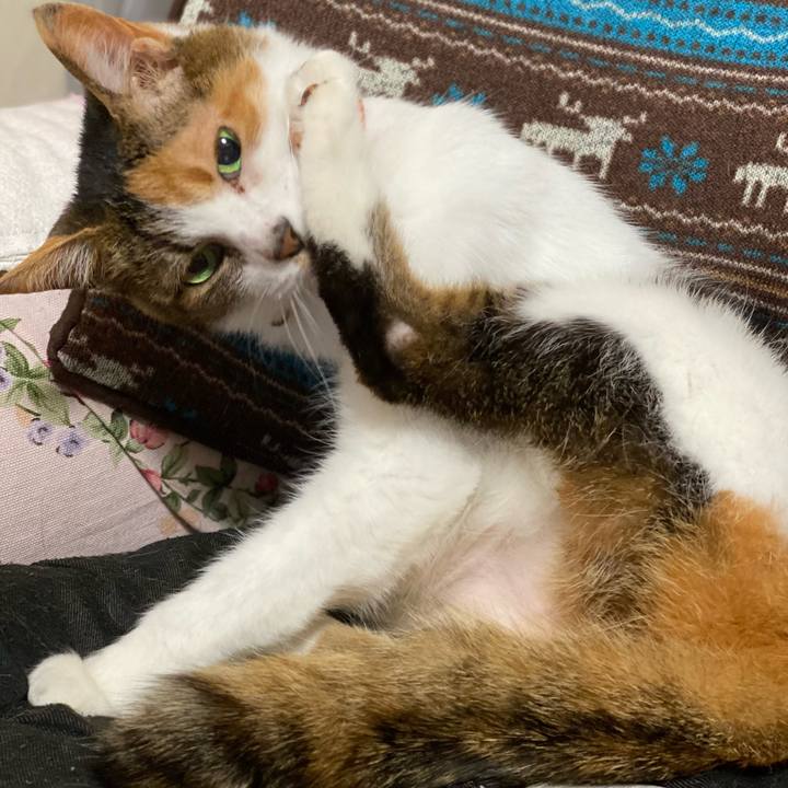 Bb967dfc 4069 49b9 a5ae 0e8f9a57c461 1651622572376