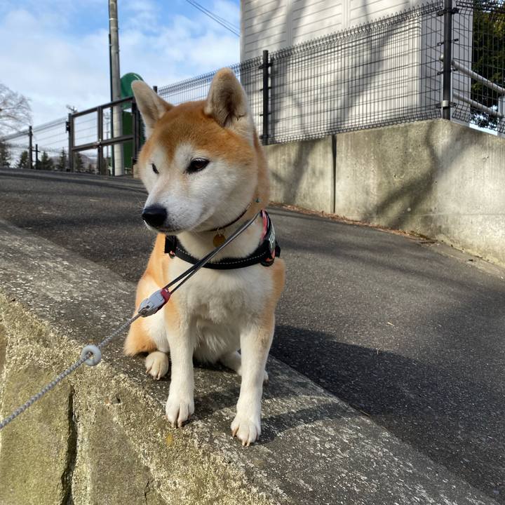 Bb96c03f e757 473c 93c4 49749a13e931 1617930300020