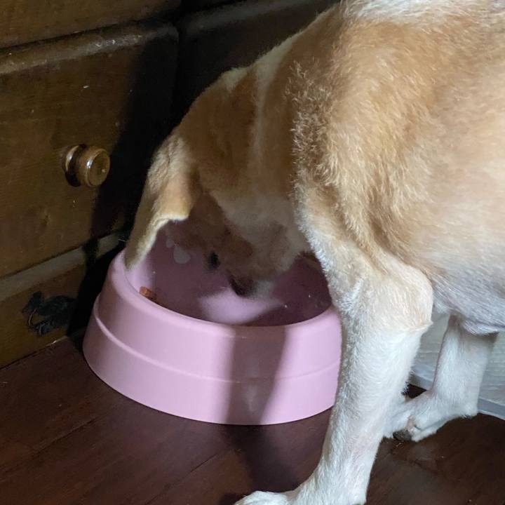 Bb96ca00 b59a 48f3 8099 08433b19c3aa 1604151972947