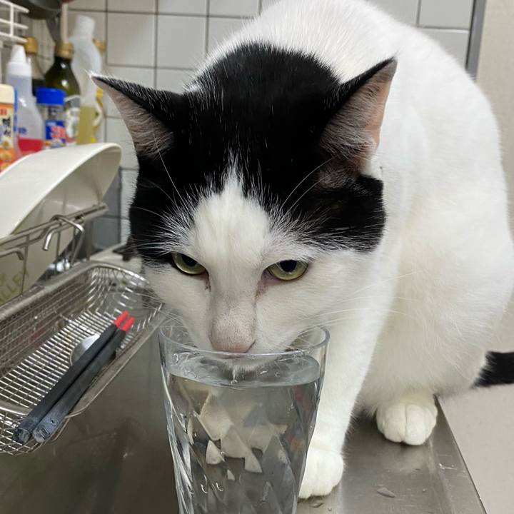 Bb96d580 fae3 483e 8601 21c351ec6324 1666050312544