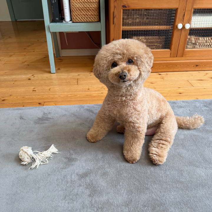 Bb96e75f ede6 4318 bb89 3957321dfc59 1774137842558