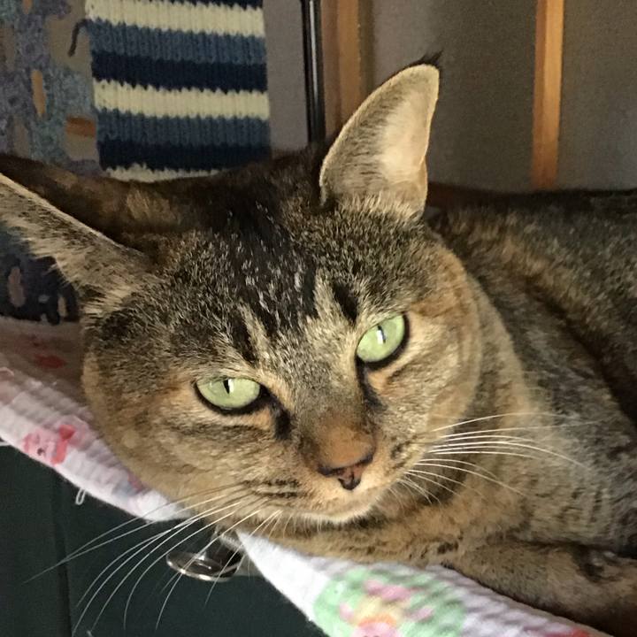 Bb96f5f9 9ebb 4255 9dad ccf1c2cc3494 1756715518015