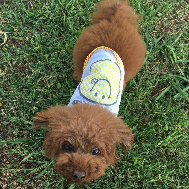 Bb973aed d060 4d12 a8fc a210a7c4b2c4 1531953511753