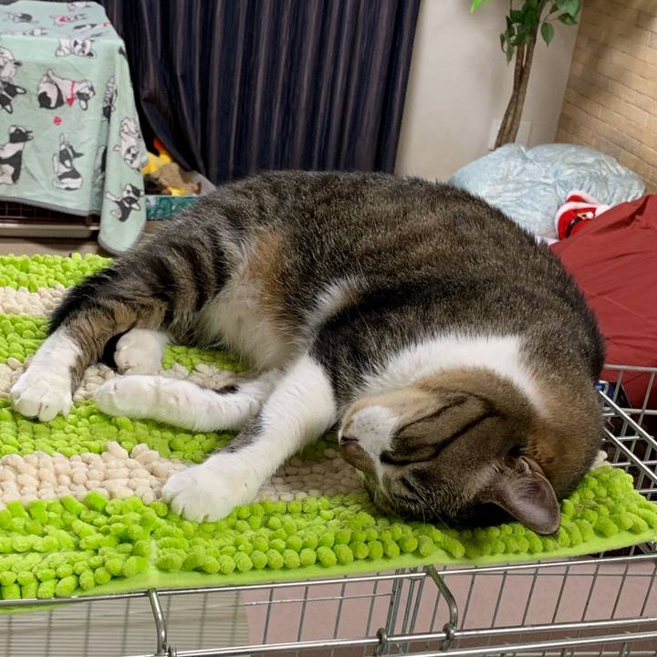 Bb973caa ed32 40bc 9e39 440ba8d58977 1545658883464