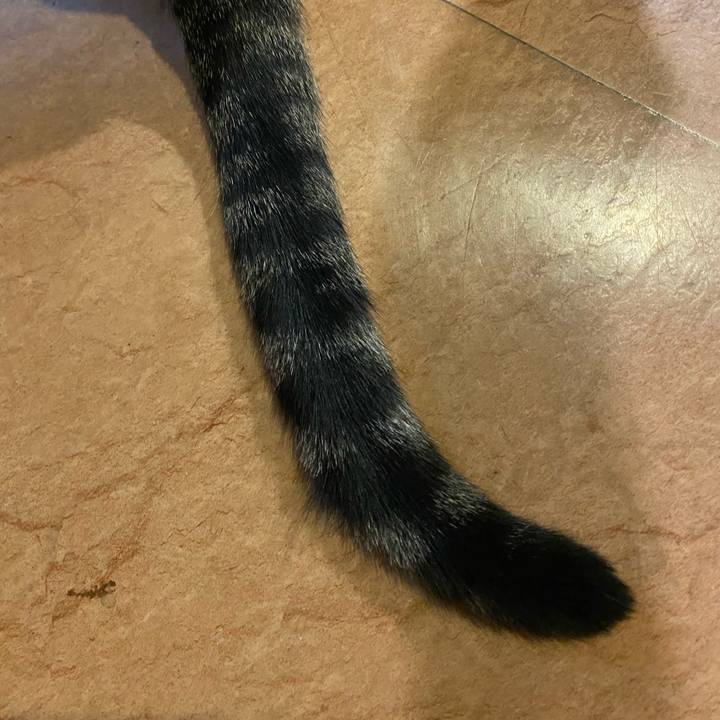 Bb973f13 2fc2 459c a697 1d848caece26 1637228686834