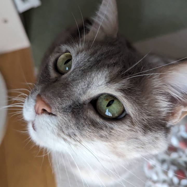 Bb9760a6 77df 4f07 bac2 0f4f1a25e012 1713422697223