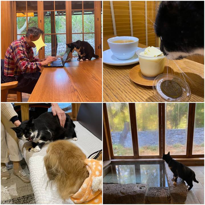 Bb976674 02d0 4349 93c1 2d019c2ada0b 1638529118302