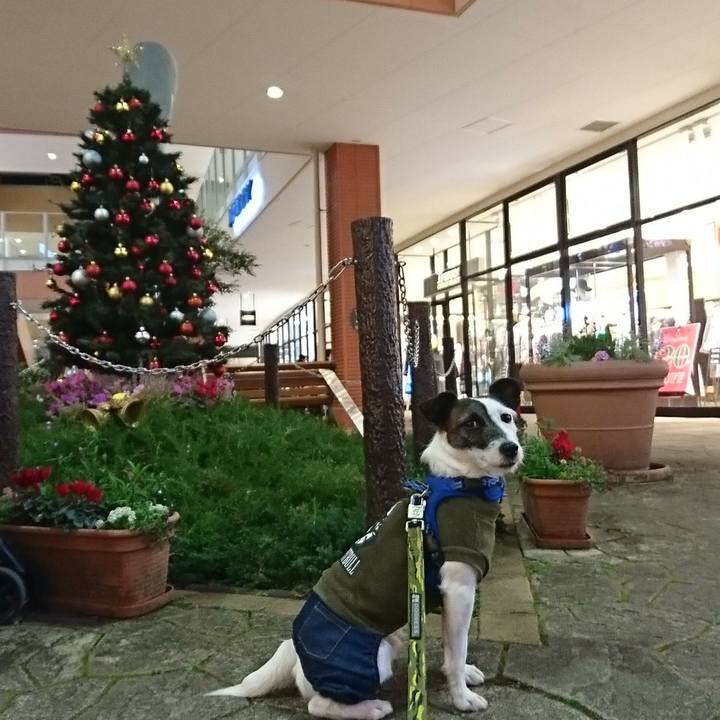 Bb977923 63ae 4d70 bf49 03343665f576 1513760209019