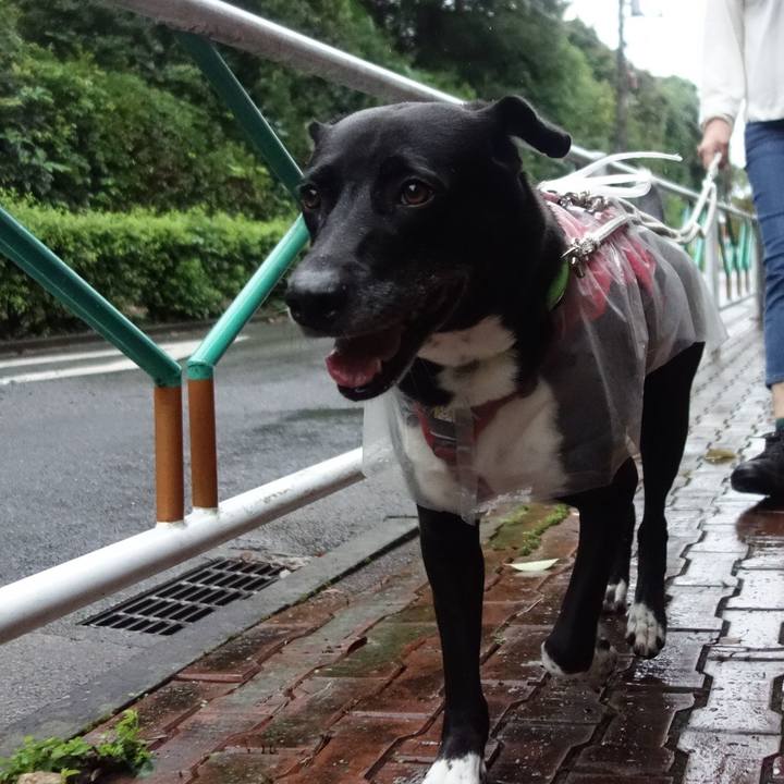 Bb978c3d b993 4fff b7fe 5cbdecabe368 1663892696686