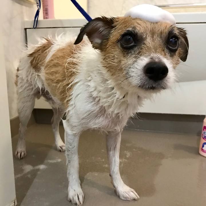 Bb978d86 0bd7 48f4 a77e 8a664f40d49a 1568859650262