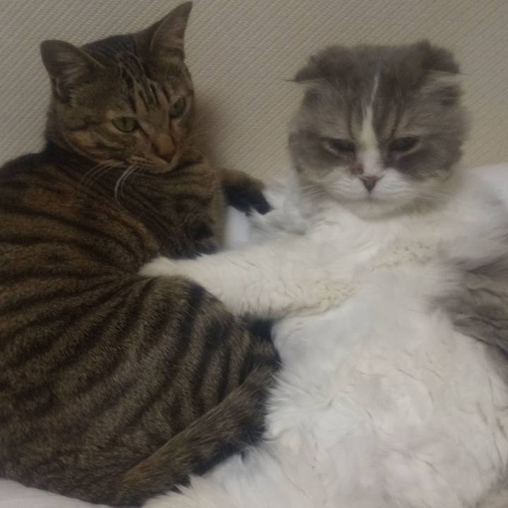 Bb9793c3 aa42 4698 9235 ebb80a602f66 1682594175216