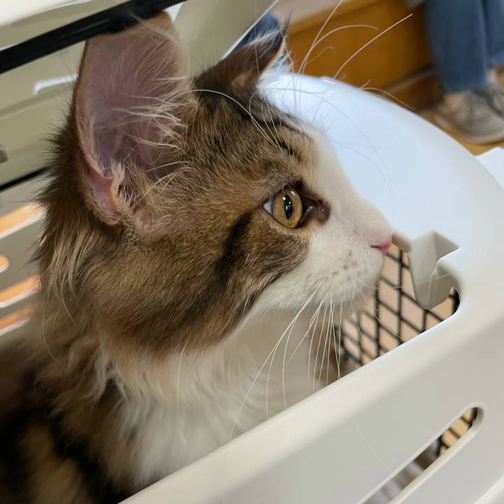 Bb979512 cf23 497e b2b4 d0b4bf3faa33 1635578202965