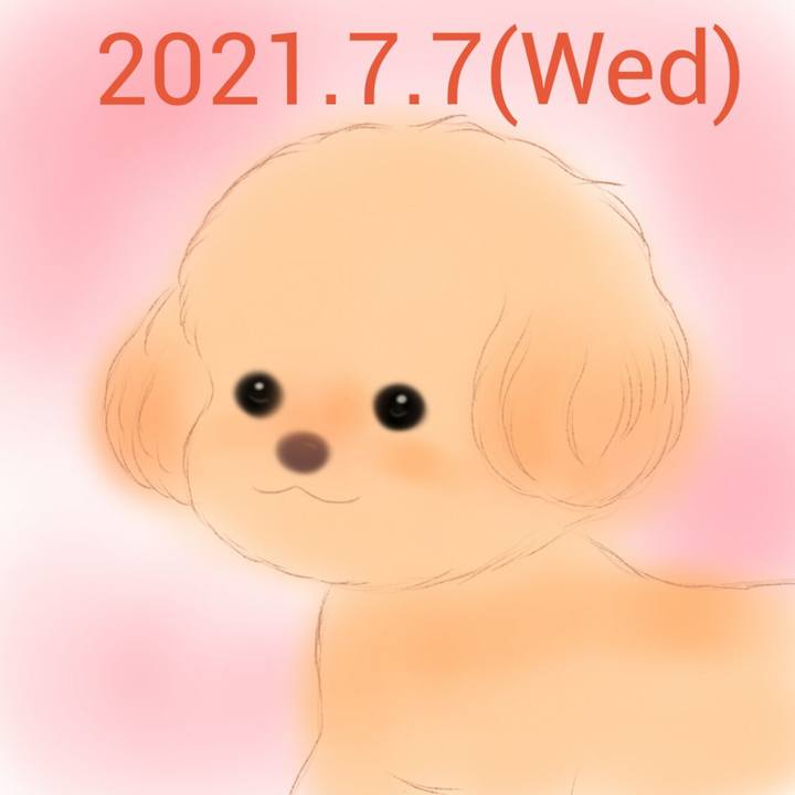Bb97fa5e c70b 4894 bde1 7a244c24a369 1625662677624