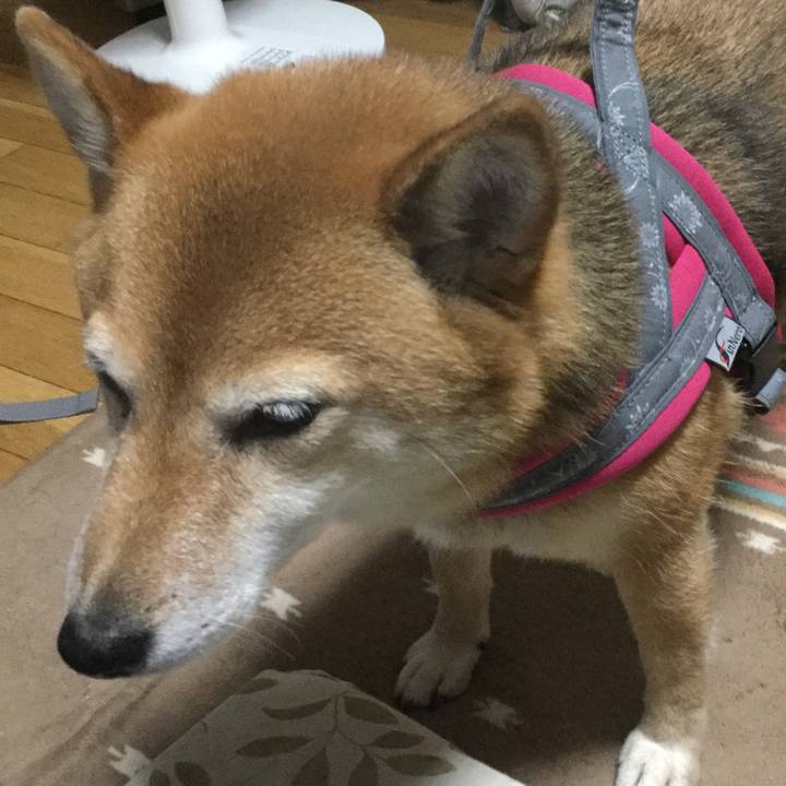 Bb98078e 025b 430b a59a fe551e4d5aaf 1562057573529