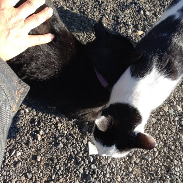 Bb9859e3 e15b 4a8e a92f 91ca22bbf405 1732500486812