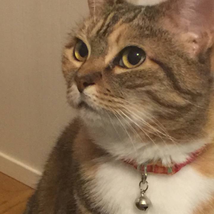 Bb985c45 30d1 4409 bc8b a37b25510a2a 1552921881628