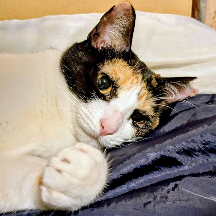 Bb98ad28 a6b0 42f5 b142 b80f29af11ab 1757869047957