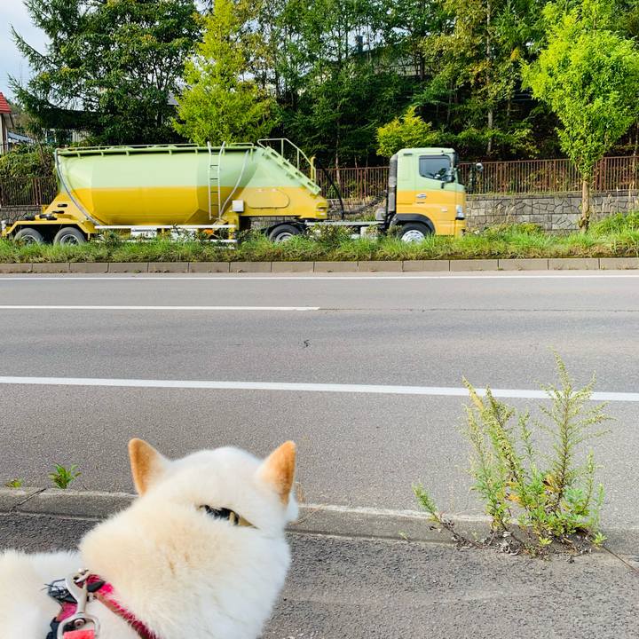 Bb98c35b 23c9 4900 8095 2406b4dbc703 1602285691574